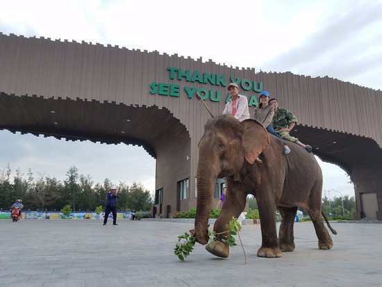 flc-zoo-safari-park-quy-nhon